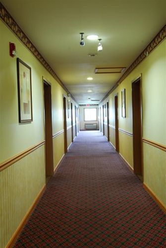 Executive Inn And Suites Уокиган Екстериор снимка